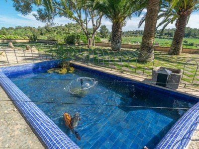 Apartment HORTELLA (ECOFINCA) - Outdoor photo 25