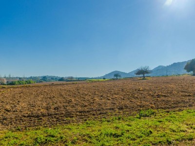 Finca NA MOLLA - Environment photo 54