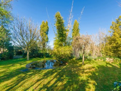 Finca NA MOLLA - Environment photo 55