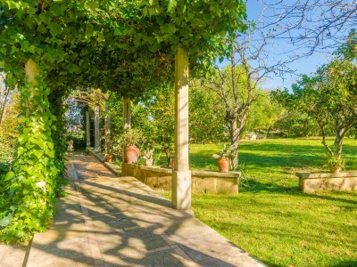 Finca NA MOLLA - Environment photo 56