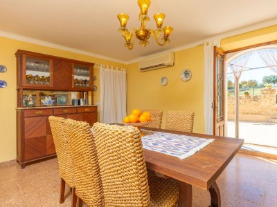 Finca SA VINYOTA - Features photo 19