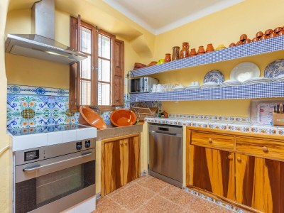 Finca SA VINYOTA - Features photo 21