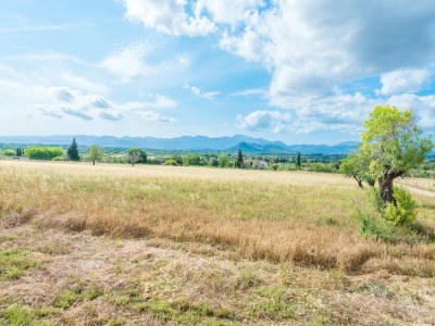 Finca SA VINYOTA - Environment photo 39
