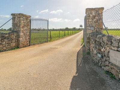 Finca SA VINYOTA - Environment photo 40