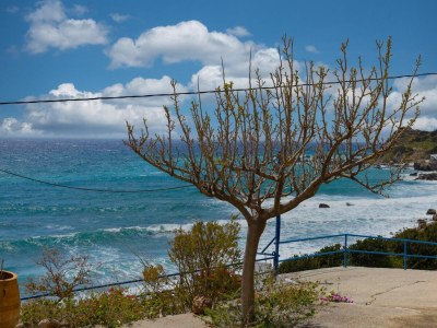 Holiday apartment Blue Conia Premium - Environment photo 27