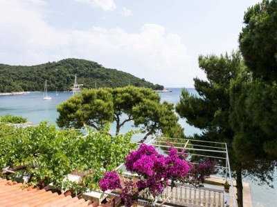 Apartment Apartmetns Franka Saplunara-One-Bedroom Apartment with Terrace and Sea View No2 - Outdoor photo 2