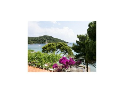 Apartment Apartmetns Franka Saplunara-One-Bedroom Apartment with Terrace and Sea View No2 - Outdoor photo 14