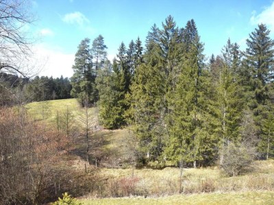 Holiday house Ferienhaus im Allgäu Abenteuerurlaub - Environment photo 34