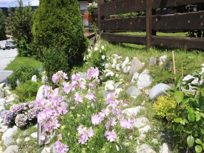 Apartment Wohnung in Seefeld nahe Rosshütte Skigebiet - Outdoor photo 10