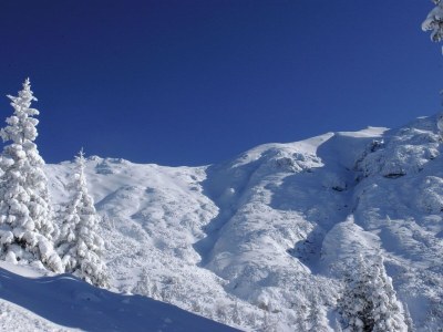 Apartment Wohnung in Seefeld nahe Rosshütte Skigebiet - Environment photo 27