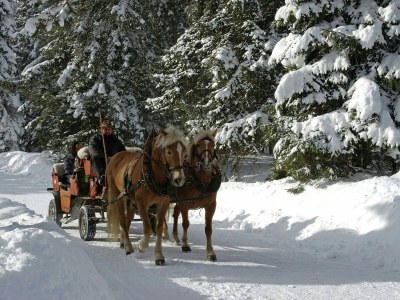 Apartment Wohnung in Seefeld nahe Rosshütte Skigebiet - Environment photo 28