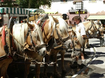 Apartment Landhaus in Seefeld nahe Skigebiet - Environment photo 25
