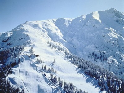 Apartment Landhaus in Seefeld nahe Skigebiet - Environment photo 33