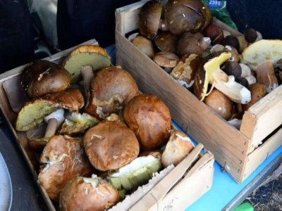 Holiday house Gemütliches Haus in Lot mit Pool - Outdoor photo 30