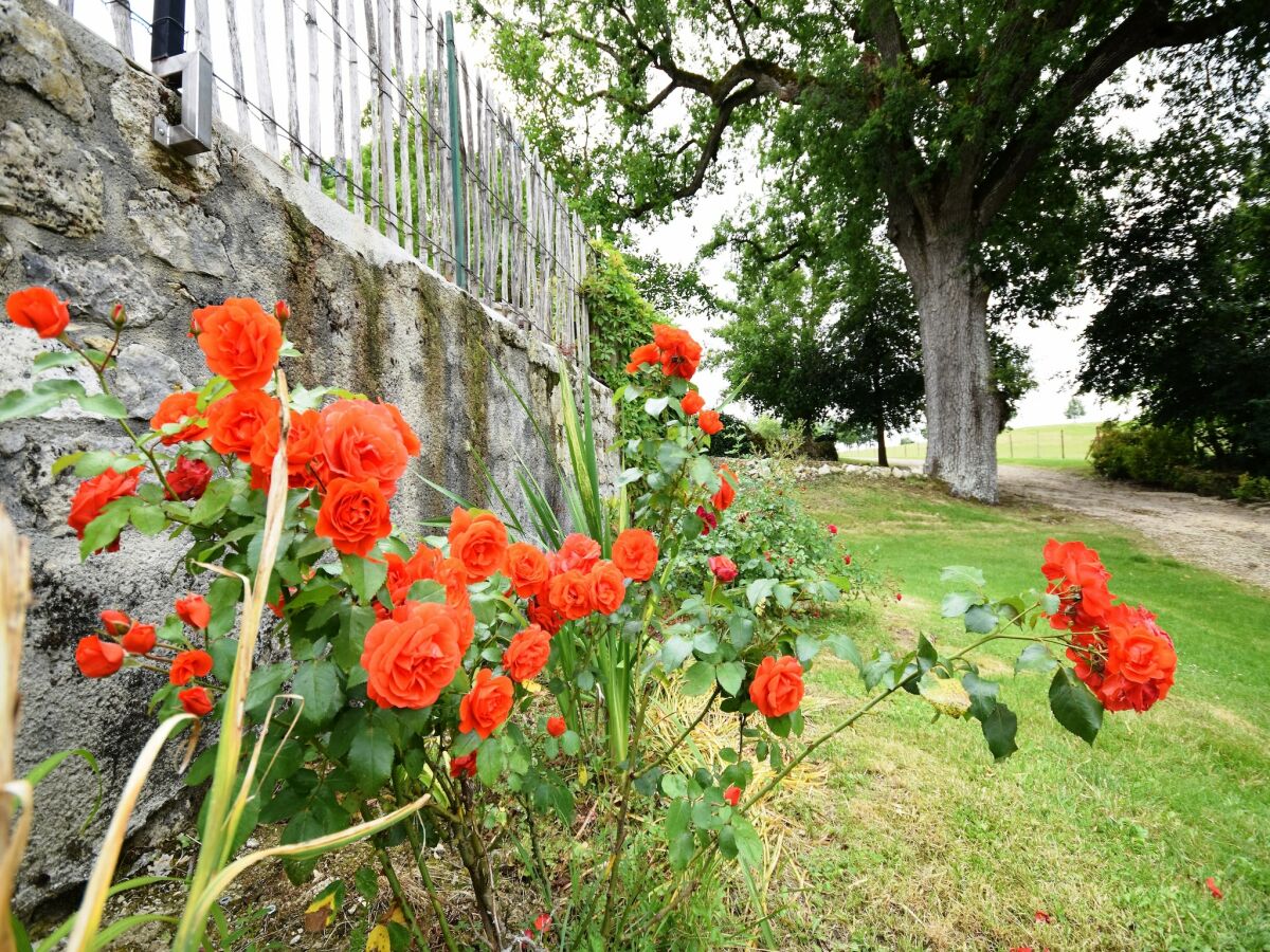 Castle Castle near Agen with Shared Pool - Outdoor photo 3