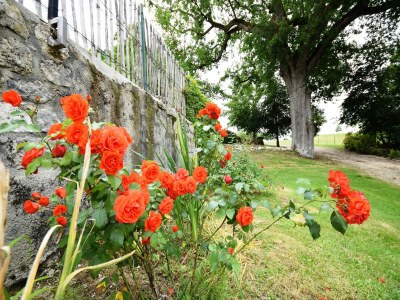 Castle Castle near Agen with Shared Pool - Outdoor photo 3