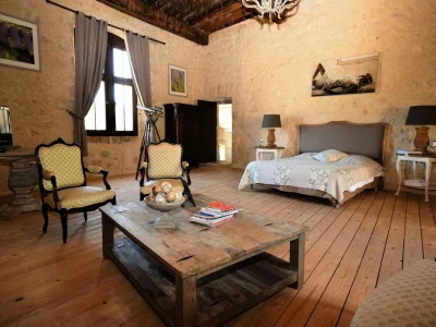 Castle Castle near Agen with Shared Pool - Features photo 18