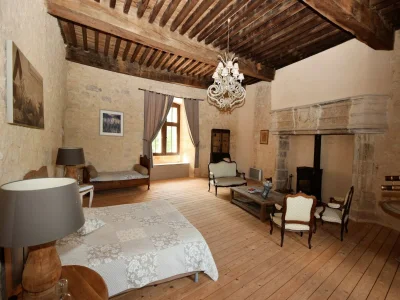 Castle Castle near Agen with Shared Pool - Features photo 20