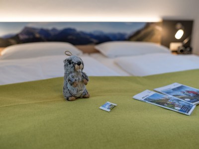 Holiday apartment Haus Holzeck / Jenner - Features photo 8