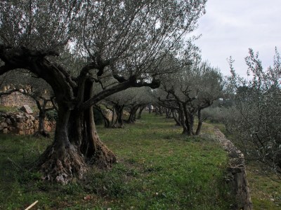 Villa Val Moisine - Outdoor photo 14