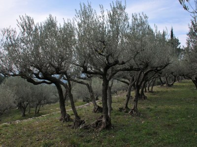 Villa Val Moisine - Environment photo 34