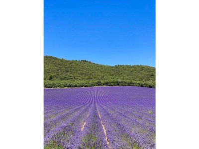 Villa Val Moisine - Environment photo 39