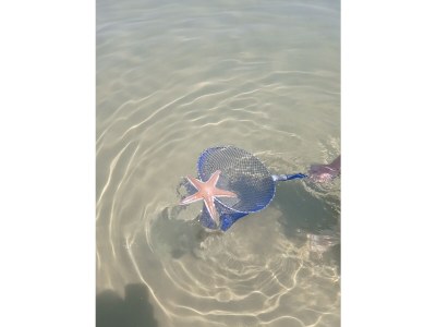 Holiday house Pomalo - Environment photo 32