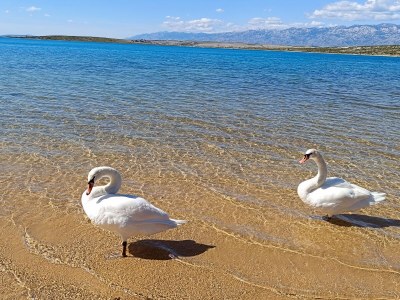 Holiday house Pomalo - Environment photo 37