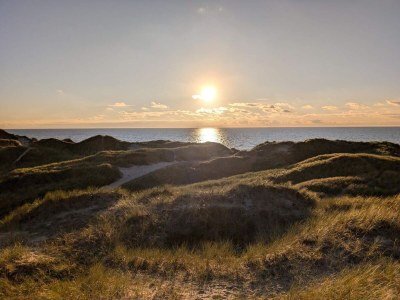 Holiday house 7 person holiday home in Ulfborg-By Traum - Outdoor photo 11