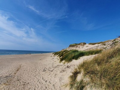 Holiday house 7 person holiday home in Ulfborg-By Traum - Outdoor photo 13