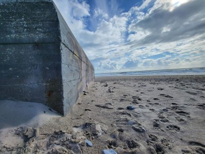 Holiday house 7 person holiday home in Ulfborg-By Traum - Outdoor photo 24