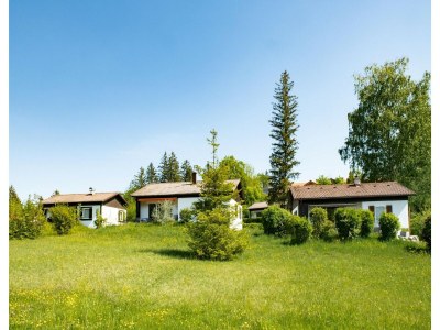 Holiday house Peaceful Garden Apartment - Outdoor photo 5