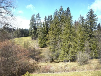 Holiday house Retreat in Füssen, Allgäu - Environment photo 34