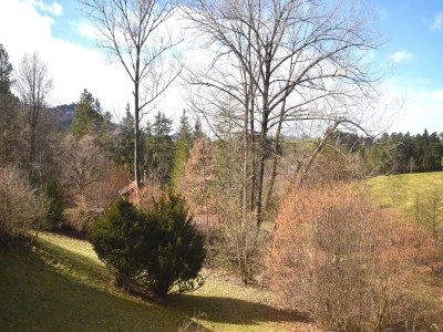 Holiday house Ferienhaus im Allgäu Spaß und Naturaufenthalt - Environment photo 19