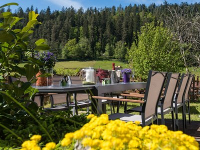 Holiday house Timber house Enzklösterle 1 - Outdoor photo 2