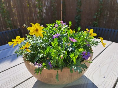 Holiday house 't Goudhaantje - Outdoor photo 7