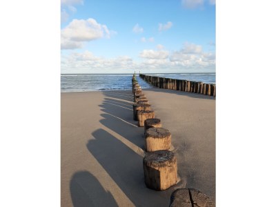 Holiday house 't Goudhaantje - Environment photo 23