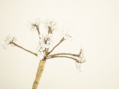 Apartment Loft - Features photo 27