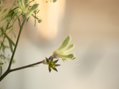 Apartment Loft - Features photo 36