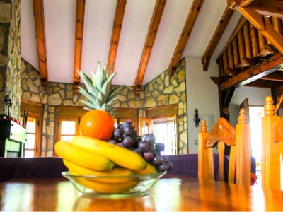 Villa El Cortijo Andaluz - Features photo 25