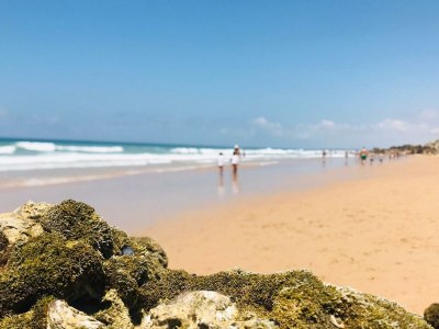 Villa El Cortijo Andaluz - Environment photo 37