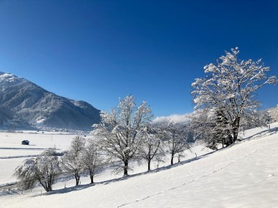 Apartment Chalet in Mittersill near Ski Lift - Outdoor photo 6