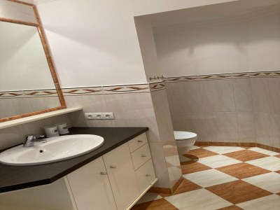 Apartment Chalet in Mittersill near Ski Lift - Features photo 18