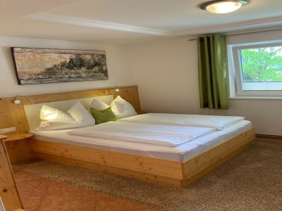 Apartment Chalet in Mittersill near Ski Lift - Features photo 20