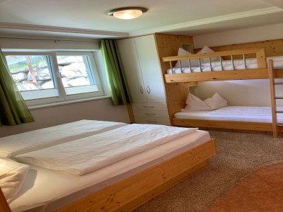 Apartment Chalet in Mittersill near Ski Lift - Features photo 24