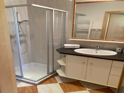 Apartment Chalet in Mittersill near Ski Lift - Features photo 31