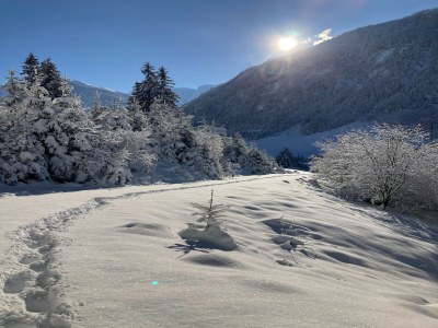 Apartment Chalet in Mittersill near Ski Lift - Environment photo 32