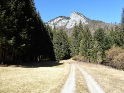 Holiday house Hütte in Auronzo bei den Dolomiten & See - Environment photo 31
