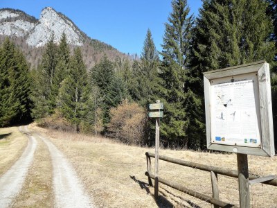 Holiday house Hütte in Auronzo bei den Dolomiten & See - Environment photo 32