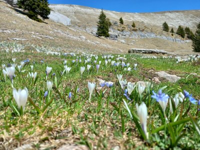 Holiday house Hütte in Auronzo bei den Dolomiten & See - Environment photo 33